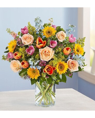 Deluxe size, inches height and inches wide.
