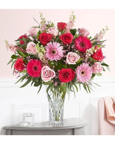 Deluxe size, inches height and inches wide.