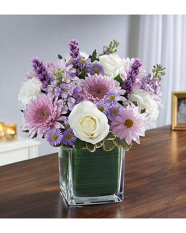 Deluxe size, inches height and inches wide.
