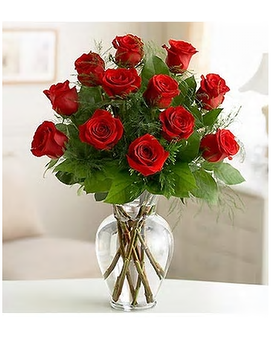 red size, inches height and inches wide.
