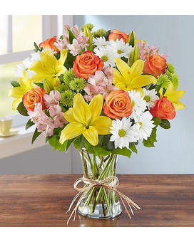 EXTRA LARGE size, inches height and inches wide.