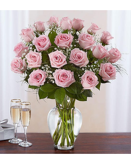 pink size, inches height and inches wide.