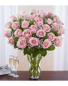 pink size, inches height and inches wide.