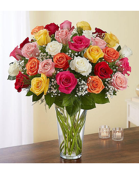 mixed colors size, inches height and inches wide.