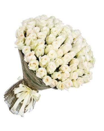 100 White Roses size, inches height and inches wide.