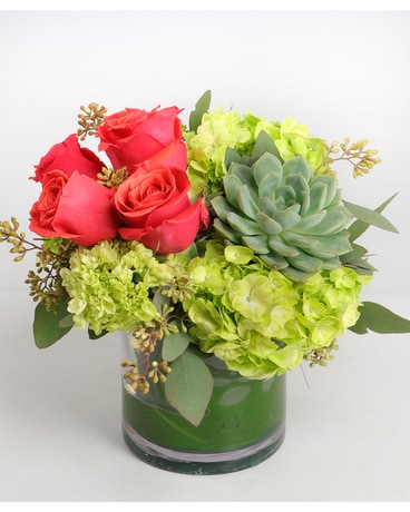 Deluxe size, inches height and inches wide.