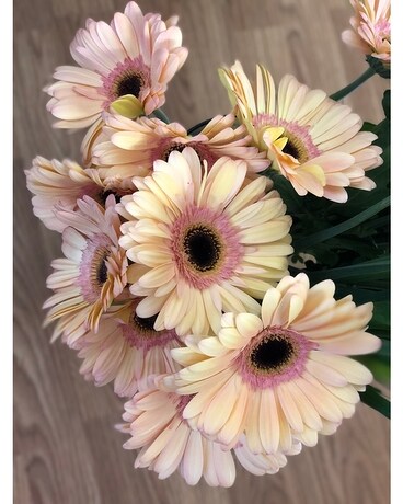 Deluxe in Vase size, inches height and inches wide.