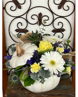 Standard size, 12 inches height and 12 inches wide.