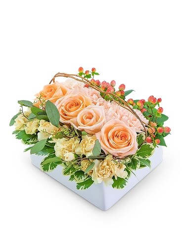 Standard size, 8 inches height and 8 inches wide.