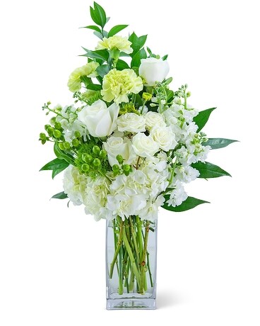 Premium size, inches height and inches wide.