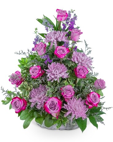 Deluxe (As Shown) size, inches height and inches wide.