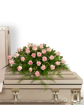Standard size, 12 inches height and 24 inches wide.
