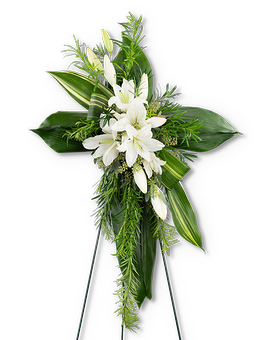 Premium size, 36 inches height and 23 inches wide.