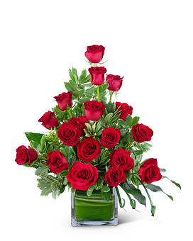 Standard size, 23 inches height and 16 inches wide.
