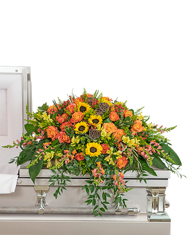 Premium size, 15 inches height and 42 inches wide.