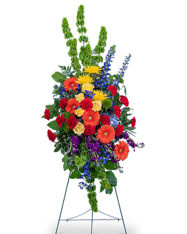Deluxe (As Shown) size, 44 inches height and 22 inches wide.