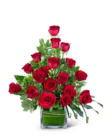 Premium size, 23 inches height and 16 inches wide.