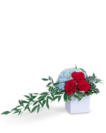 Standard size, 8 inches height and 12 inches wide.