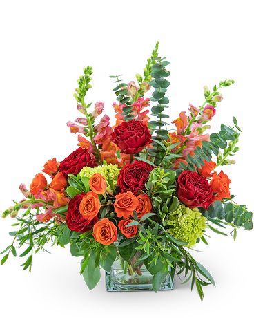 Standard size, 22 inches height and 19 inches wide.