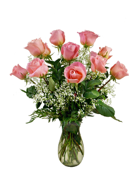 24 Premium Roses With Accent size, inches height and inches wide.
