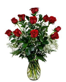 18 Premium Roses With Accent size, inches height and inches wide.