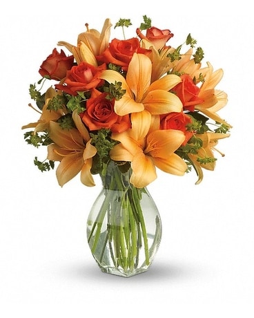Deluxe size, inches height and inches wide.