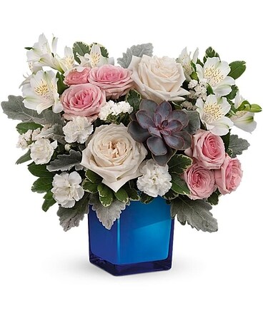 Standard size, 12 and a half inches height and 14 inches wide.