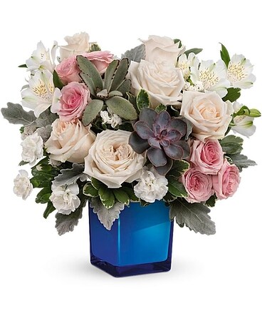 Premium size, 13 1/4 inches height and 14 and a half inches wide.