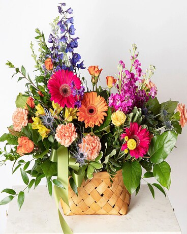 Standard size, 30 inches height and 23 inches wide.