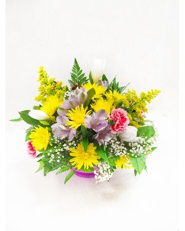 Classic round size, inches height and inches wide.