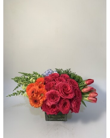 Impressive size, 12 inches height and 12 inches wide.