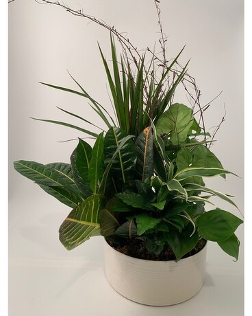 Premium size, 18 inches height and 10 inches wide.