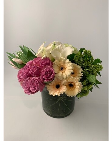 Deluxe size, inches height and inches wide.