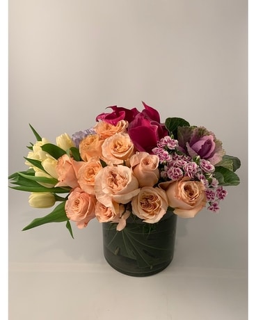 Premium size, inches height and inches wide.