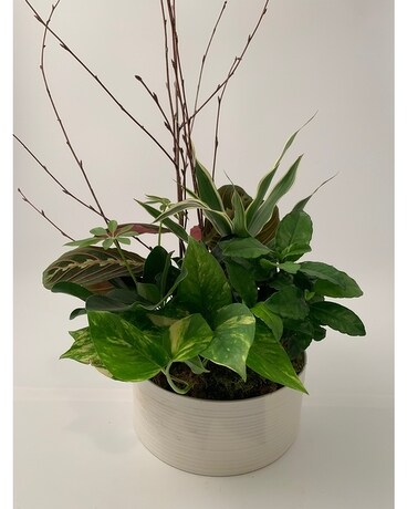 Standard size, 11 inches height and 6 inches wide.