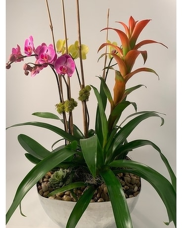 Standard size, inches height and inches wide.