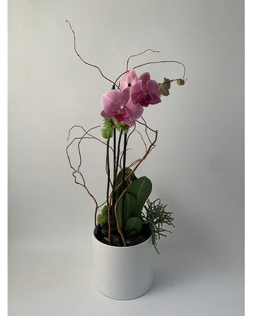 Single - Color size, inches height and inches wide.