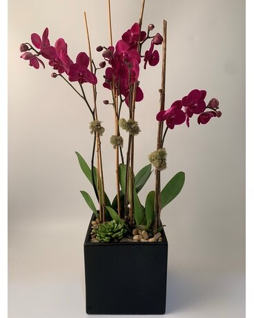 Double - Color size, inches height and inches wide.