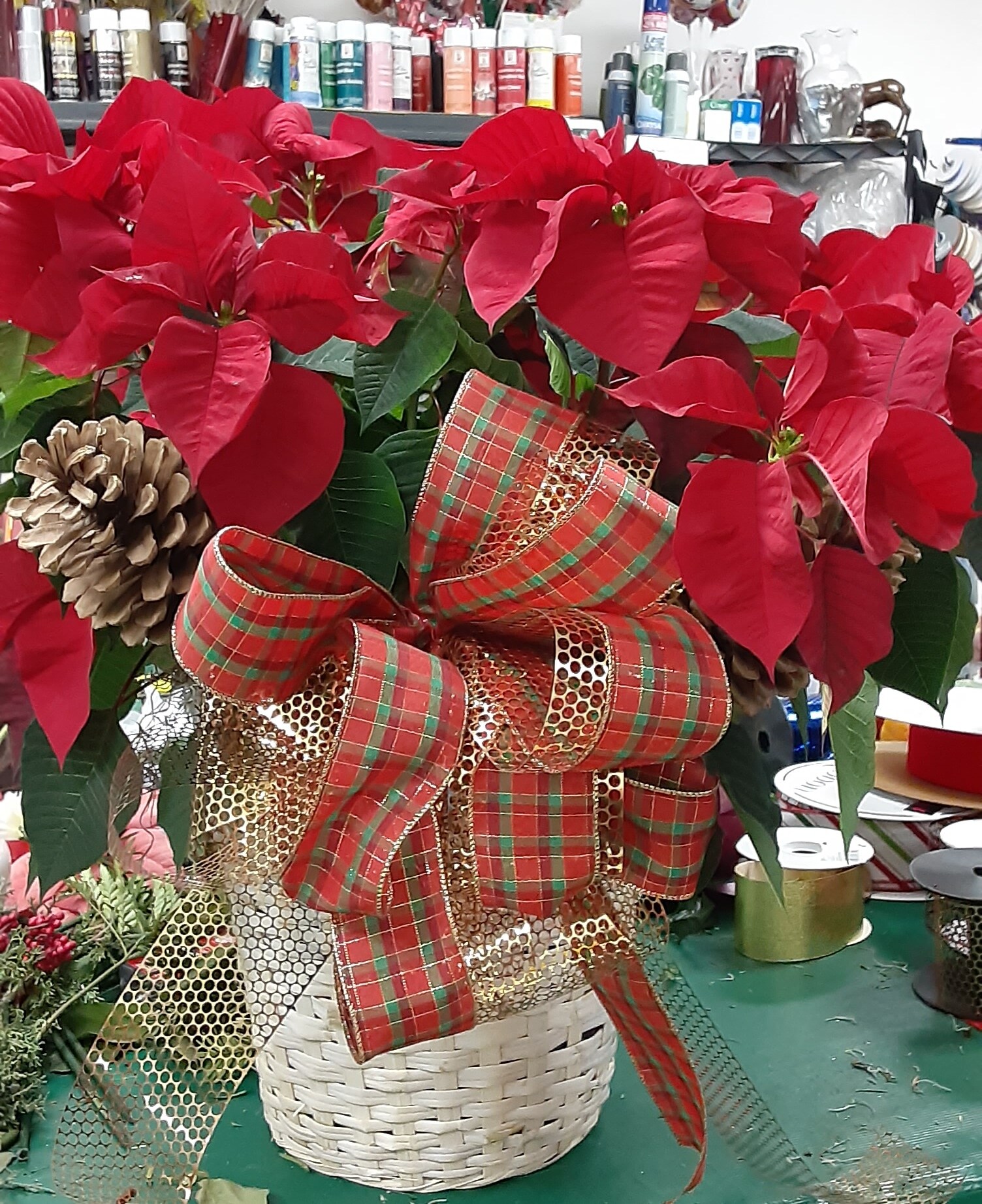 Beautiful Seasonal Flowers Banner