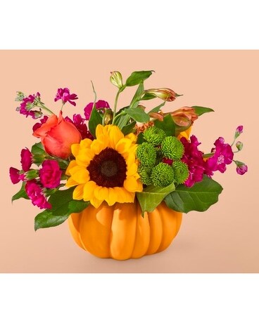 Standard size, 9 inches height and 11 inches wide.