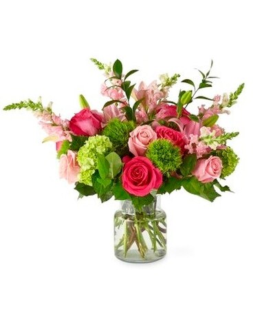 Standard size, 17 inches height and 20 inches wide.