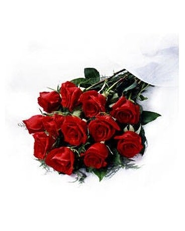 12 Roses size, inches height and inches wide.
