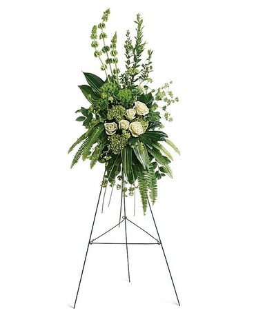 Standard size, 47 inches height and 24 and a half inches wide.