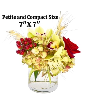Standard size, inches height and inches wide.