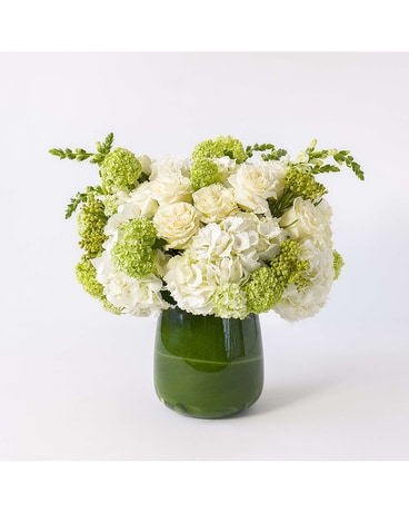 Standard size, 18 inches height and 17 inches wide.