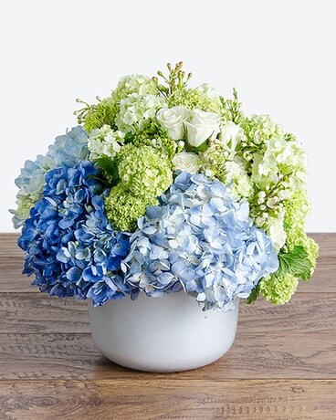 Deluxe size, 11 inches height and 11 inches wide.