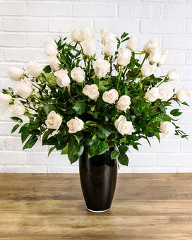 Three Dozen White size, inches height and inches wide.
