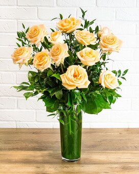 One Dozen Peach size, inches height and inches wide.