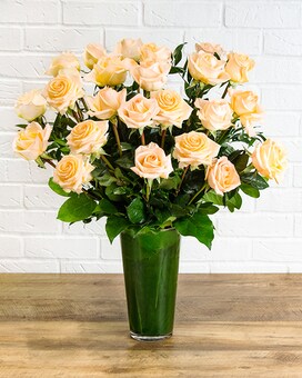 Two Dozen Peach size, inches height and inches wide.