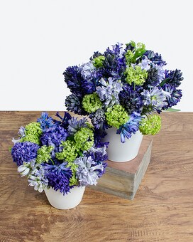 Standard size, 10 inches height and 10 inches wide.